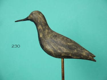 BLACK-BREASTED PLOVER, D. CRANE