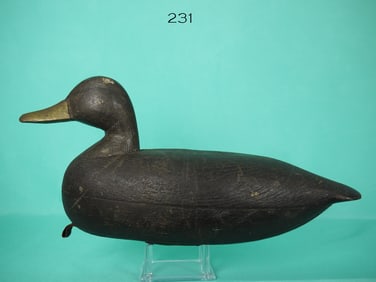 BLACK DUCK, J.T. CRANMER