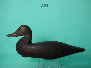 BLACK DUCK, L. CRANMER