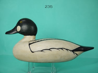 GOLDENEYE DRAKE, P. GANT