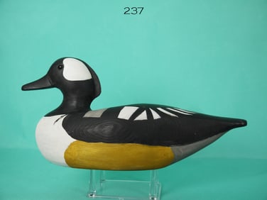 HOODED MERGANSER DRAKE, R. GANT