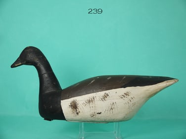 EARLY BRANT, NEW JERSEY