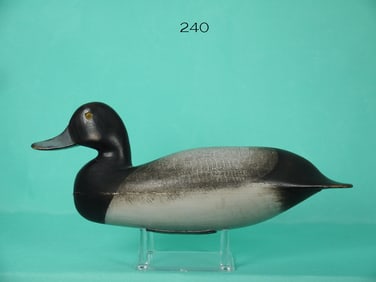 BLUEBILL DRAKE, L.R. TRUEX