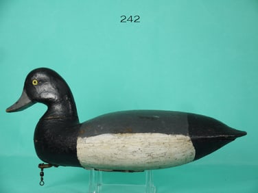 BLUEBILL DRAKE, T. JOHNSON