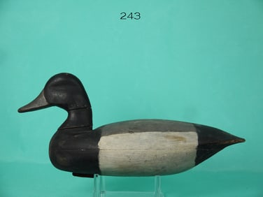 BLUEBILL DRAKE, T. JOHNSON