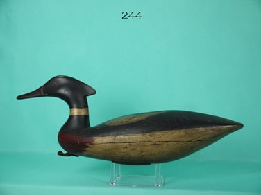 RED-BREASTER MERGANSER DRAKE, T. JOHNSON