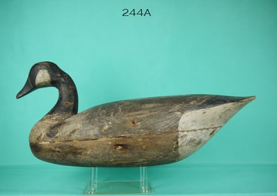 CANADA GOOSE, J. KING