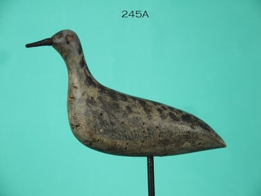 SANDERLING, CAPE MAY, NJ