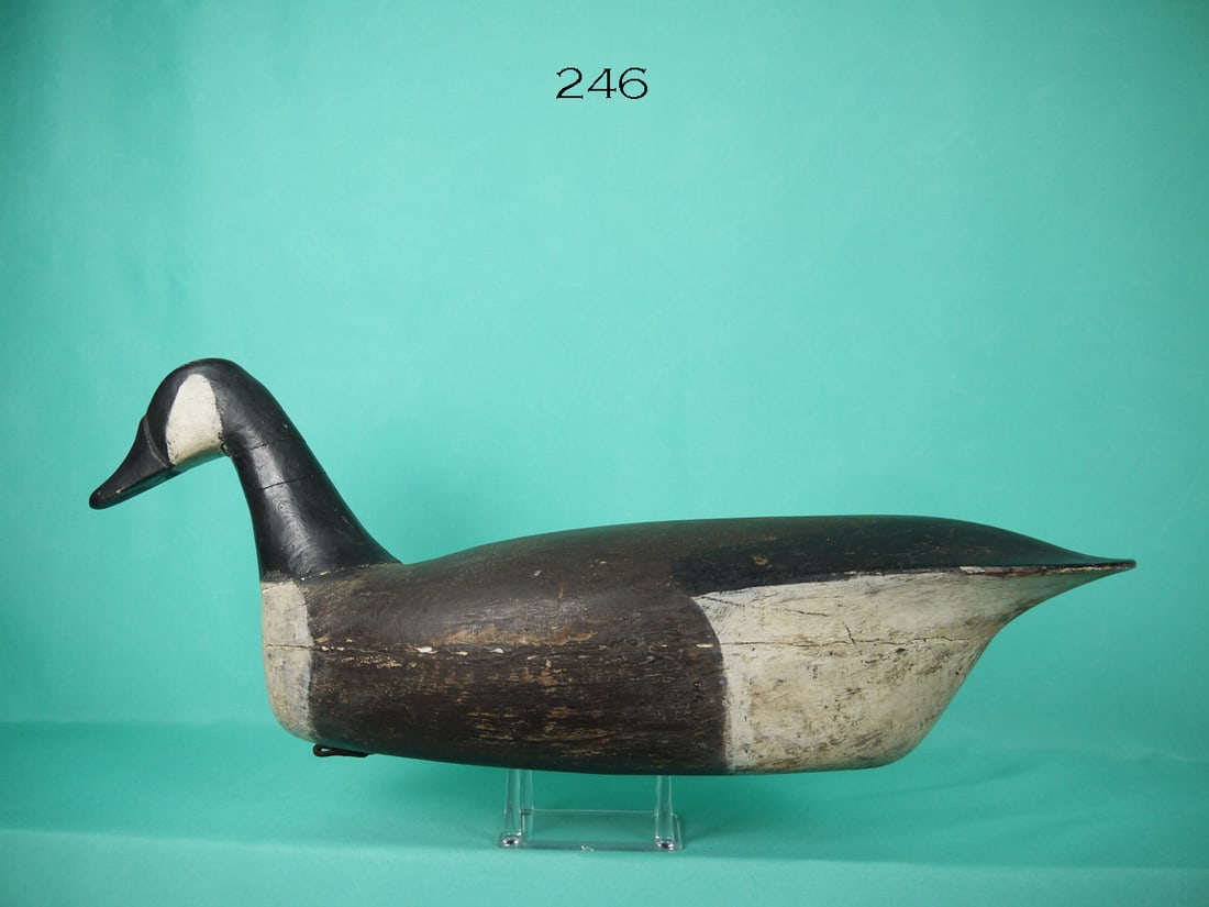 CANADA GOOSE, L. PARKER (1 of 4)