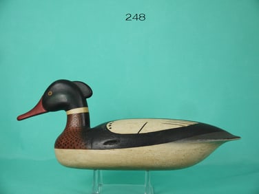 RED-BREASTED MERGANSER DRAKE, L. PARKER