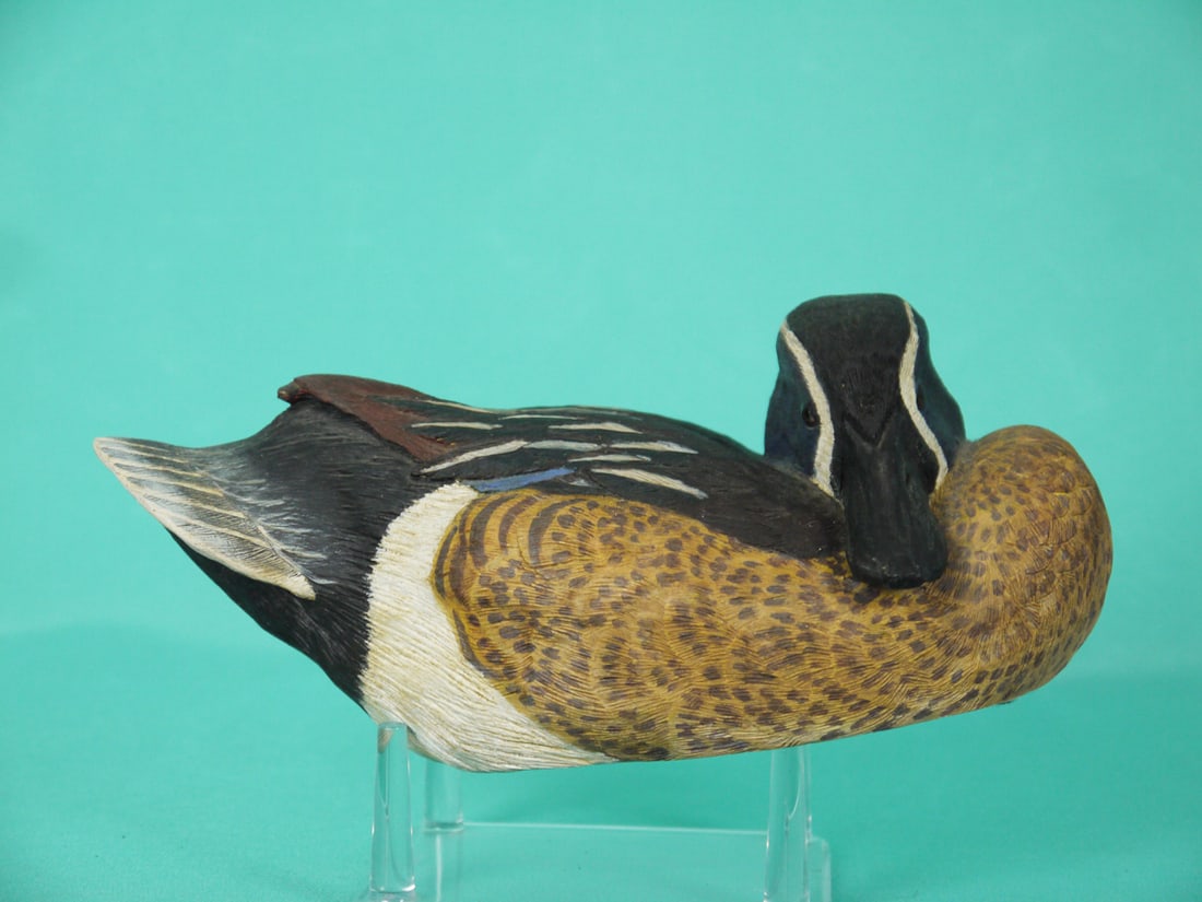 BLUE WING TEAL DRAKE, P. ROSE (1 of 4)