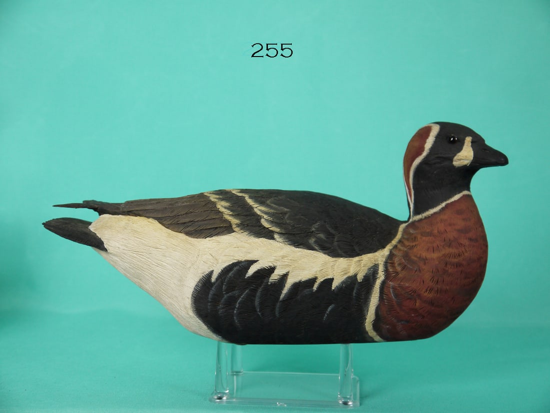 ONE-HALF SIZE RED-BREASTED GOOSE, P. ROSE (1 of 4)