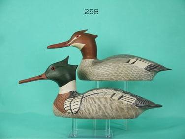 RED-BREASTED MERGANSER PAIR, E. MEACHEN