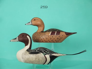 ONE-HALF SIZE PINTAIL PAIR, E. MEACHEN