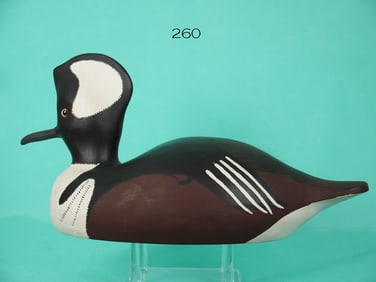 HOODED MERGANSER DRAKE, E. MEACHEN