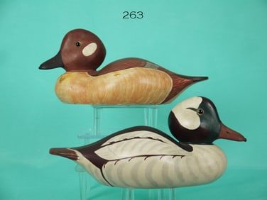 BUFFLEHEAD PAIR, E. MEACHEN