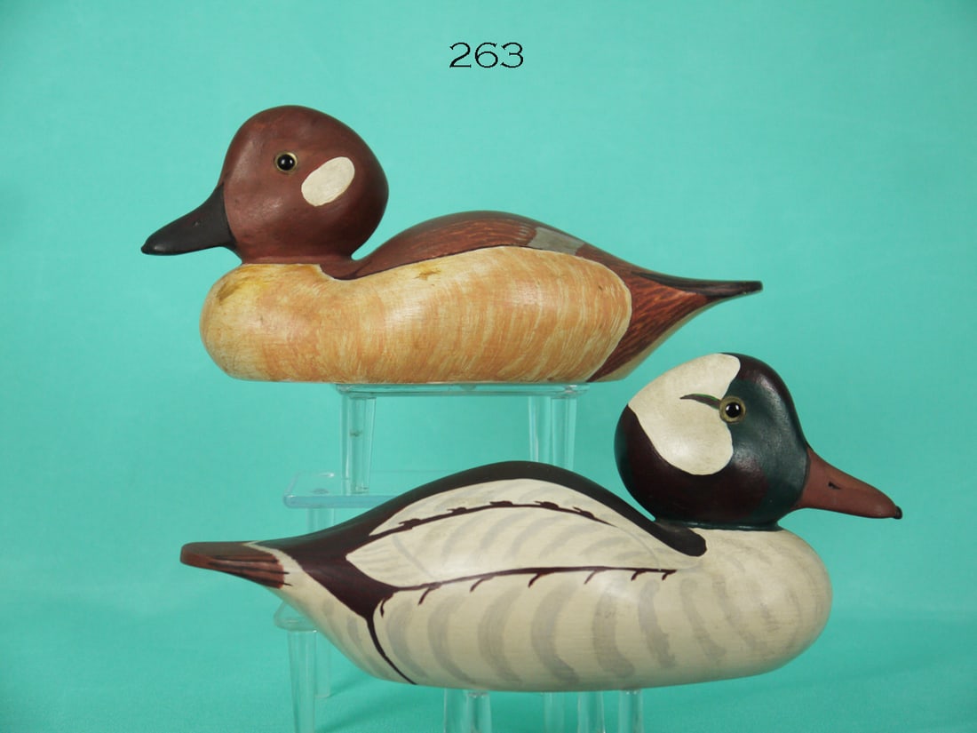 BUFFLEHEAD PAIR, E. MEACHEN (1 of 3)