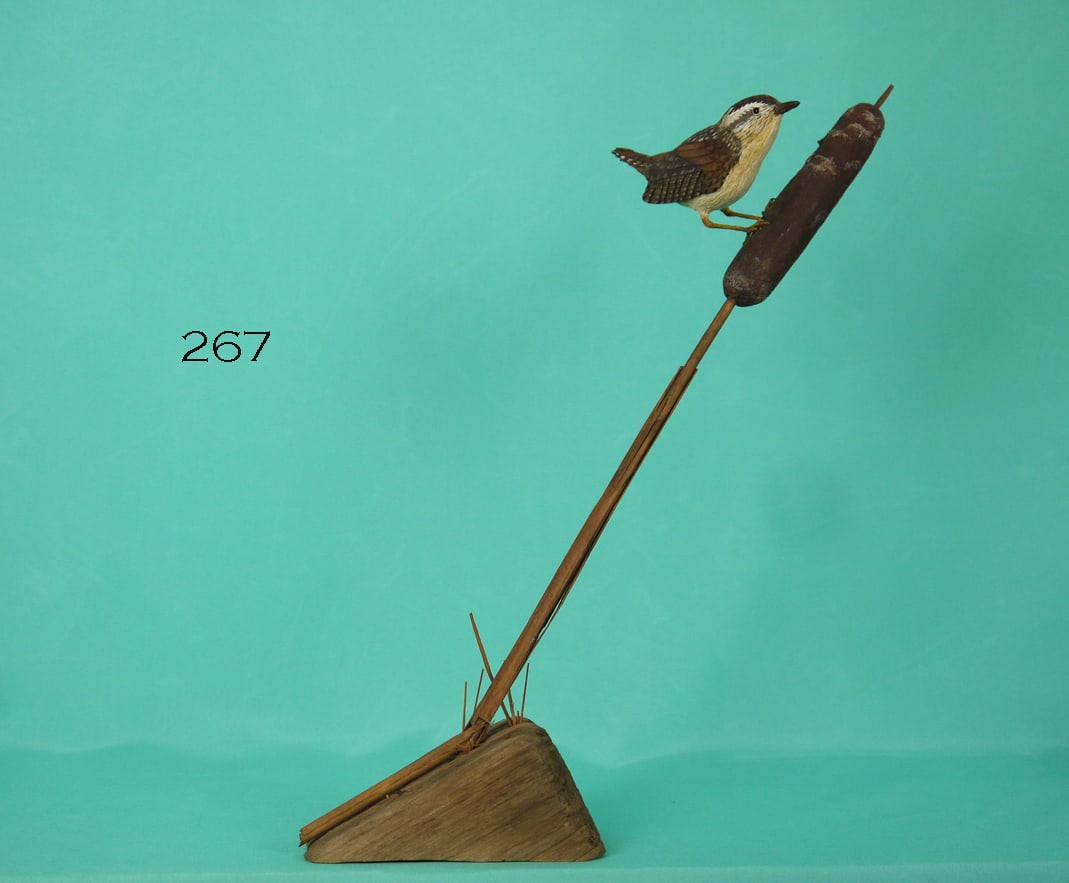 WREN ATOP REED, S. DUDLEY (1 of 3)