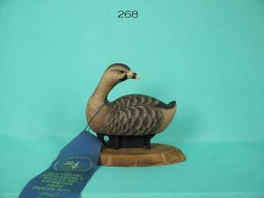 PIED-BILLED GREBE, D.J. STEVENS