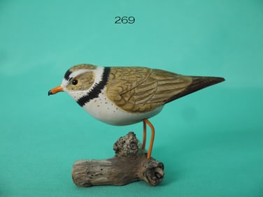 PIPING PLOVER, J. WOODWORTH