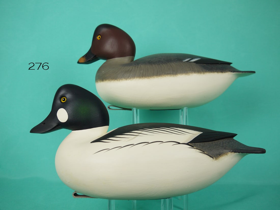 GOLDENEYE PAIR, F.C. BROWN, JR. (1 of 4)