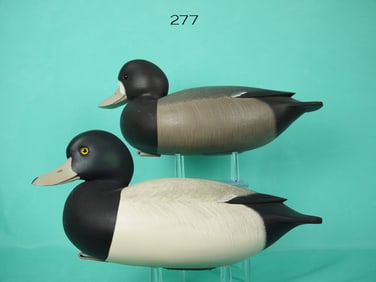 BROADBILL PAIR, F.C. BROWN, JR.