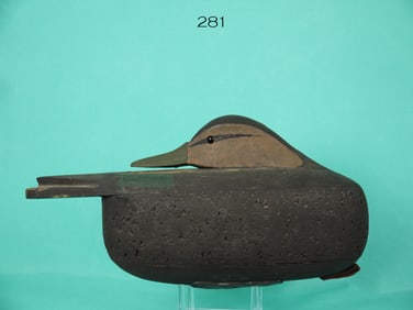 BLACK DUCK, R. DALEY