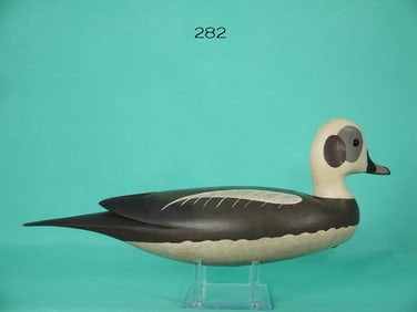 LONG TAILED DRAKE, J. HAND