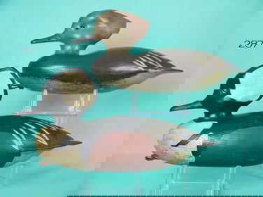 HOODED MERGANSER PAIR, J. HOLLOWAY