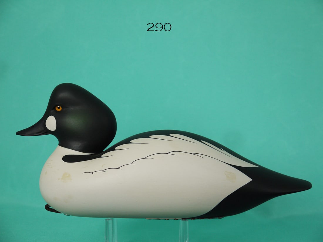 GOLDENEYE DRAKE, C.R. MARTER, JR. (1 of 4)