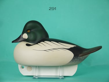 GOLDENEYE DRAKE, C.R. MARTER, JR.