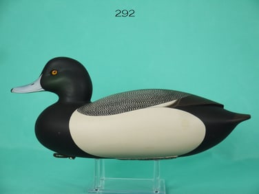 BLUEBILL DRAKE, C.R. MARTER, JR.