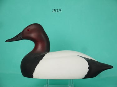 CANVASBACK DRAKE, C.R. MARTER, JR.