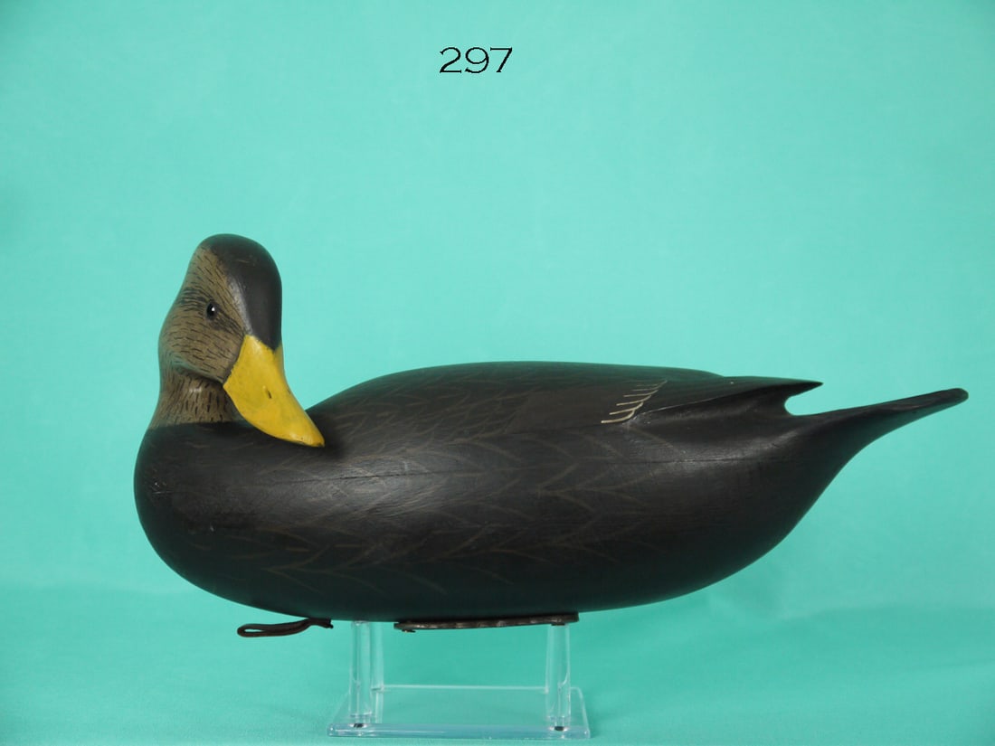 BLACK DUCK, W. OLER (1 of 4)
