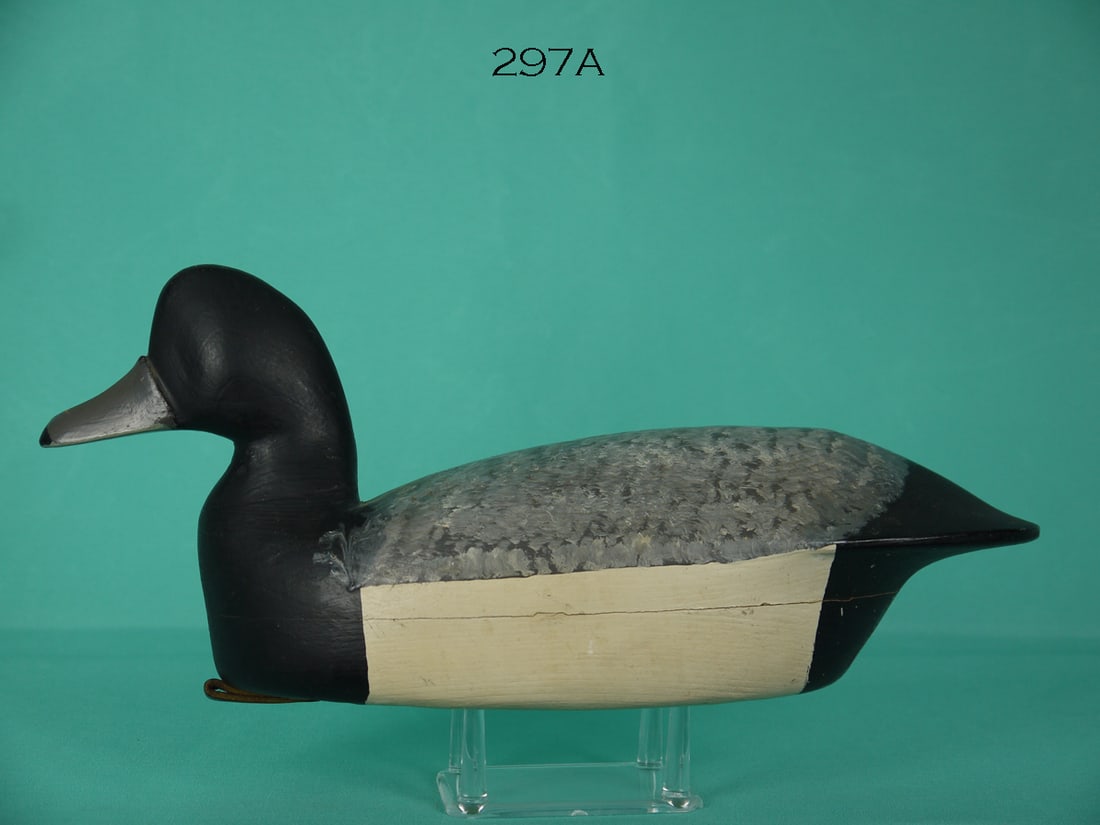 BROADBILL DRAKE, H. PRICE (1 of 4)