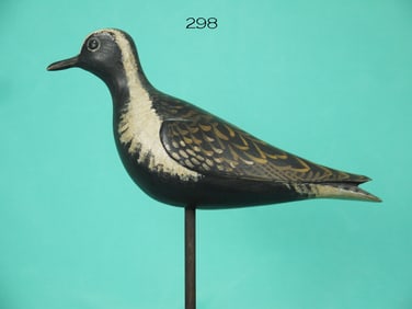 GOLDEN PLOVER, D. RHODES
