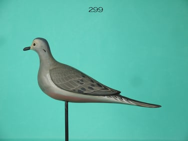 MOURNING DOVE, D. RHODES