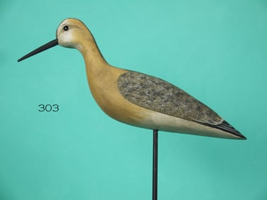 YELLOWLEGS, H.V. SHOURDS