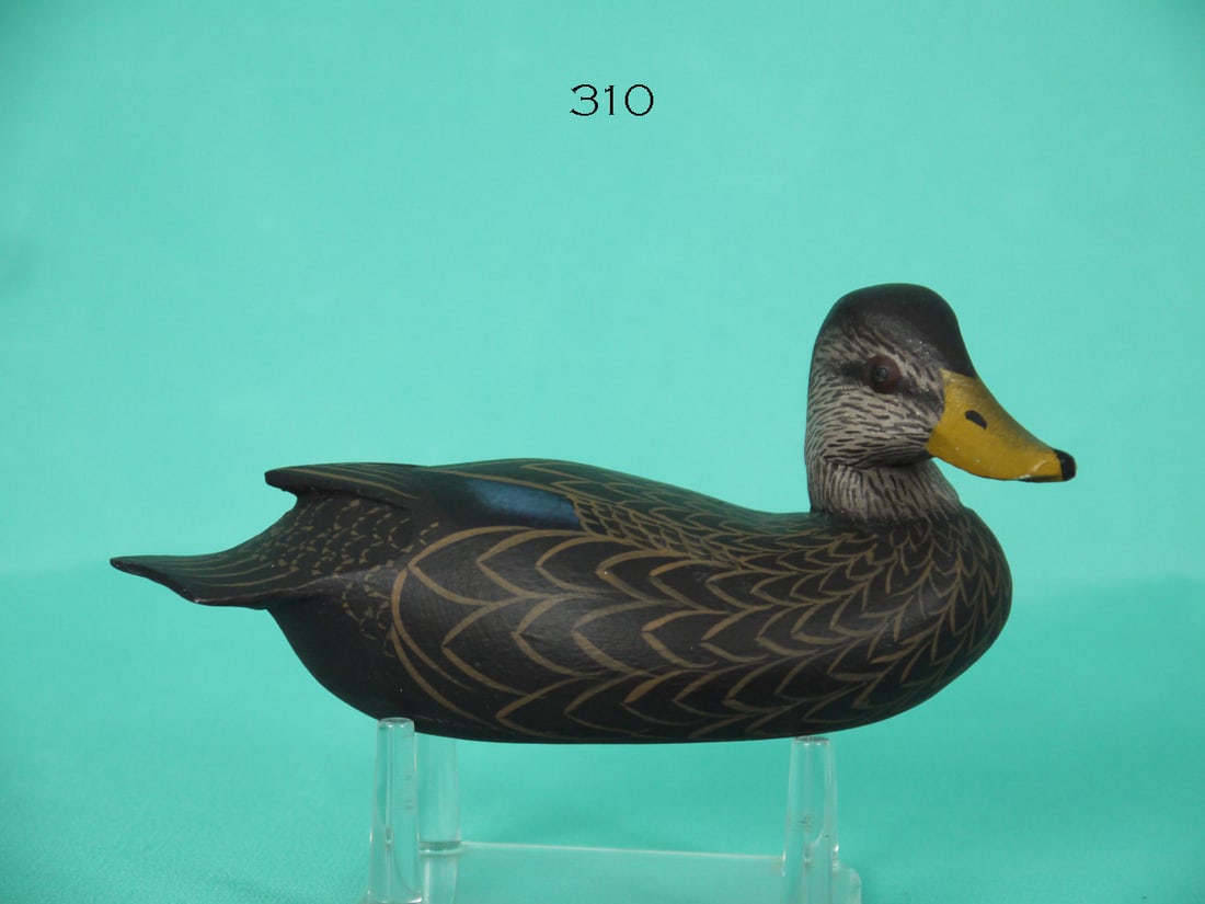 MINIATURE BLACK DUCK, F. JENNINGS (1 of 4)