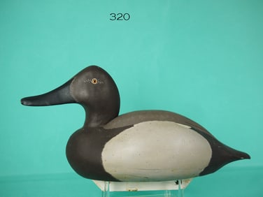 CANVASBACK HEN