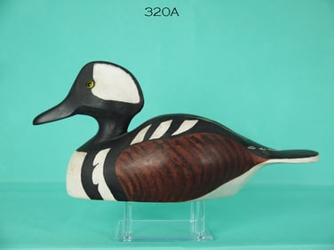 HOODED MERGANSER DRAKE, B. MATER