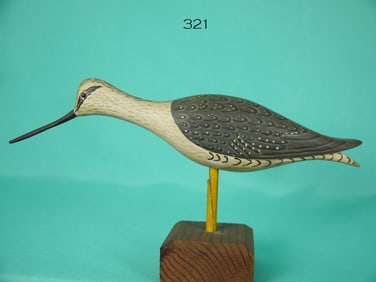 YELLOWLEGS, E. MEACHEN