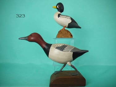HALF-SIZE BARROW'S GOLDENEYE AND CANVASBACK DRAKE, E. MEACHEN