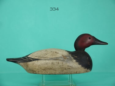 CANVASBACK DRAKE, MASON