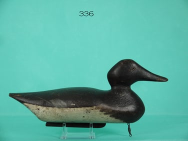 CANVASBACK HEN, MASON