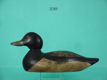 BLUEBILL DRAKE, MASON