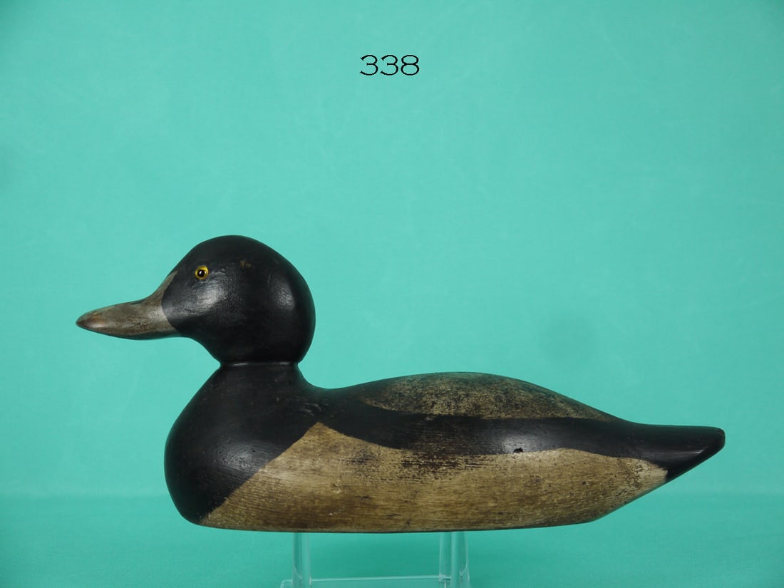 BLUEBILL DRAKE, MASON (1 of 4)