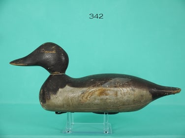 CANVASBACK HEN, MASON
