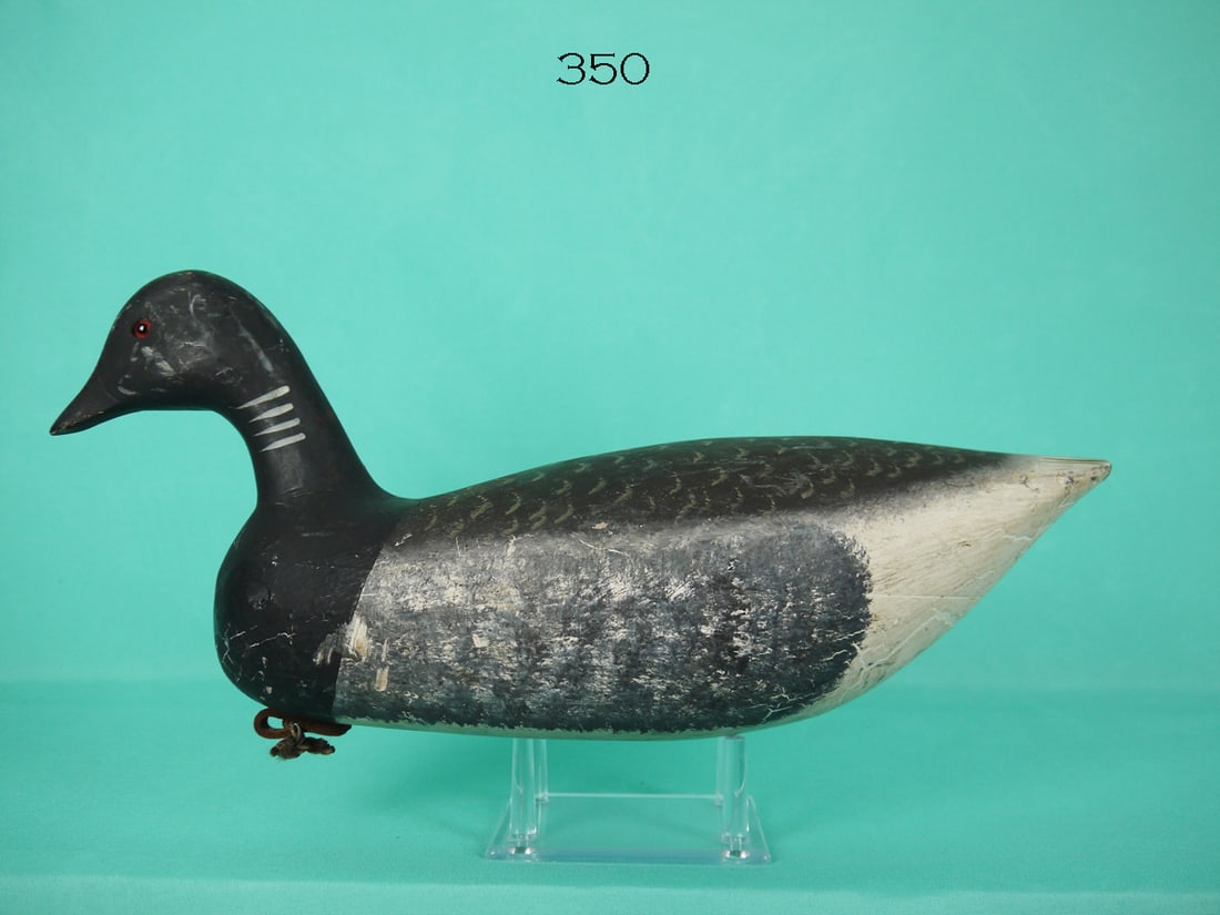 BRANT, WILDFOWLER (1 of 4)