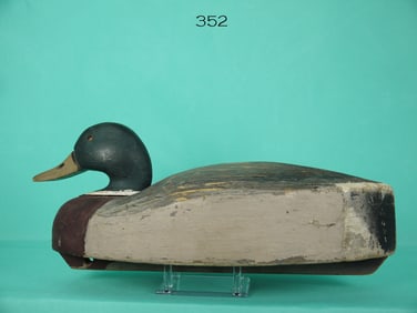 MALLARD DRAKE, WILDFOWLER